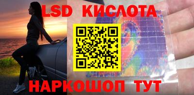 PSILOCYBIN Гатчина