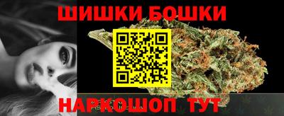 PSILOCYBIN Гатчина