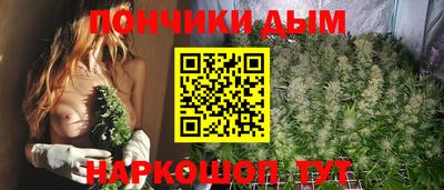 PSILOCYBIN Гатчина
