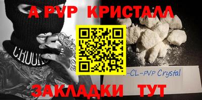 PSILOCYBIN Гатчина
